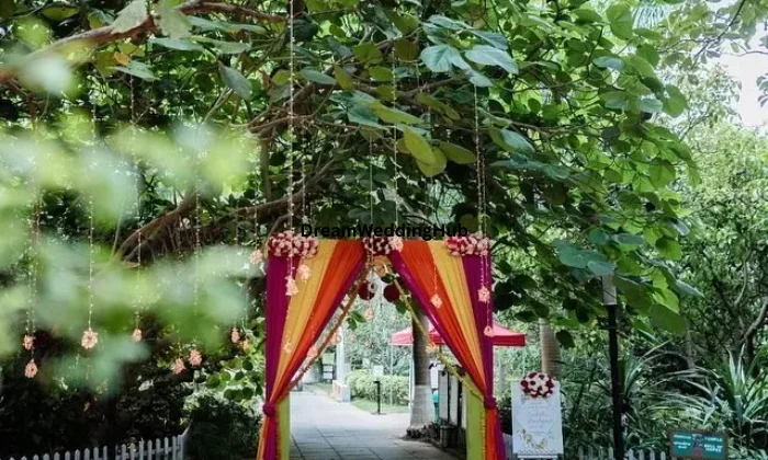 Wedvitez Planners Private Limited